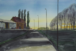 Weiden