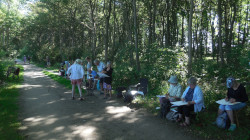 Wald