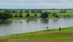 Die Elbe